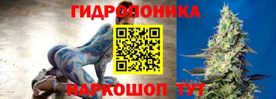 шишки Краснодар