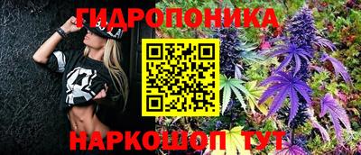 шишки Краснодар