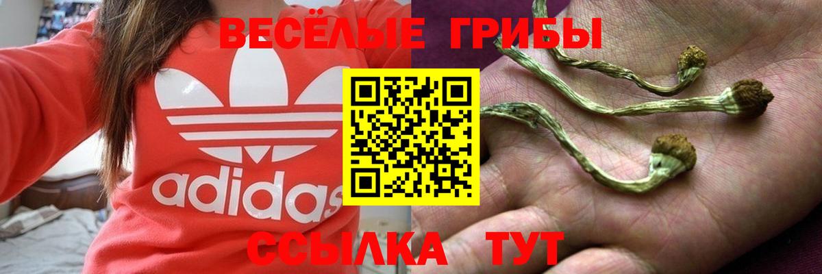 закладка  Галлюциногенные грибы ЛСД  Азов  Вход с VPN  Галлюциногенные грибы GOLDEN TEACHER 