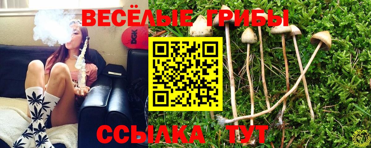 Псилоцибиновые грибы мицелий Азов